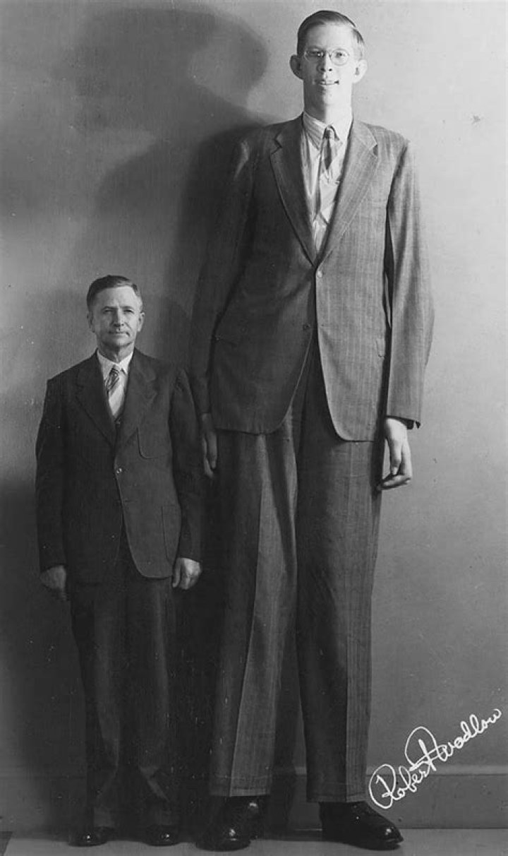 A Comprehensive Exploration Of The Tallest Men In History