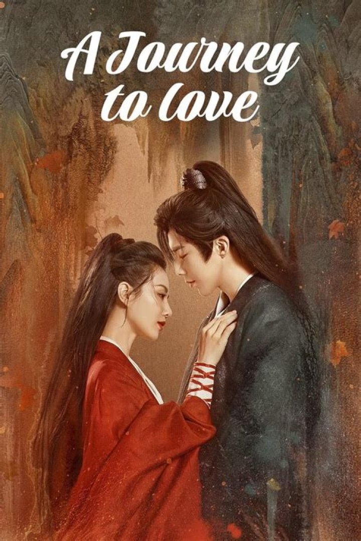 A Journey Of Love, Stats, And Insights