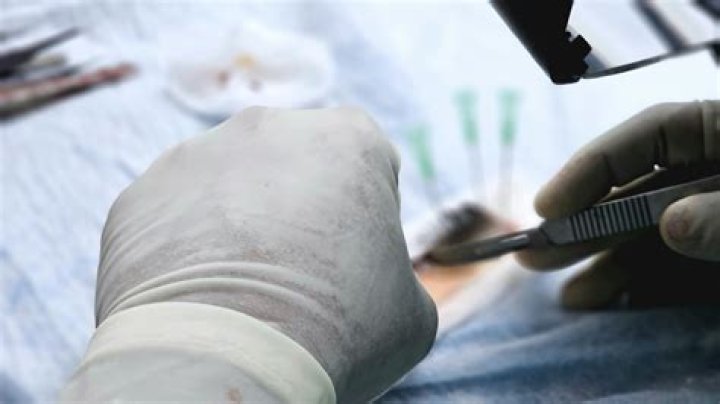 An Exploration Of Cosmetic Enhancements