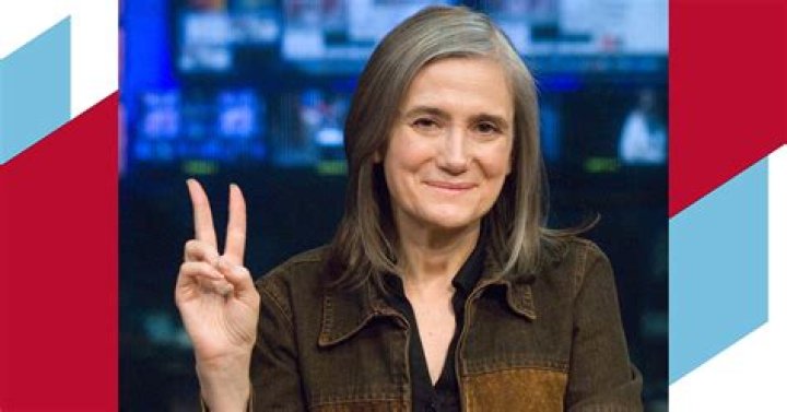 Delving Into The Age Of Journalist Amy