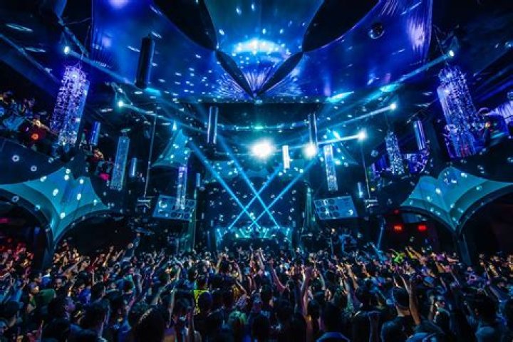 Discover Toronto's Clubbing Gems: An Unforgettable Nightlife Guide