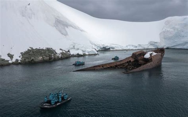 Discover Uncharted Territories In Bio, Career, And Net