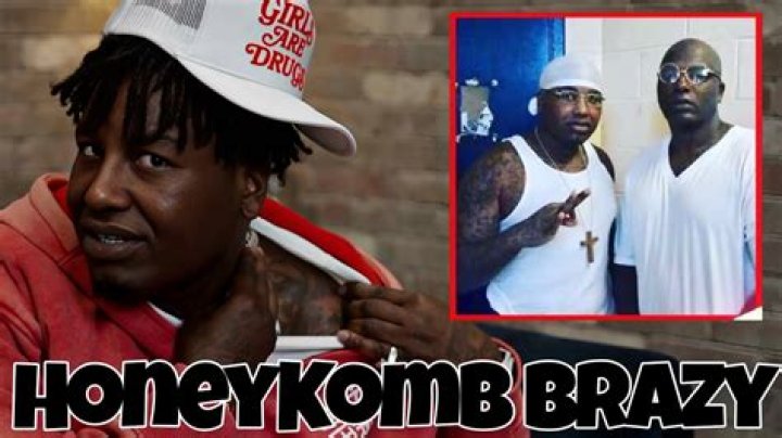 Discoveries From "Meet Honeykomb Brazy Dad Gator Q And"