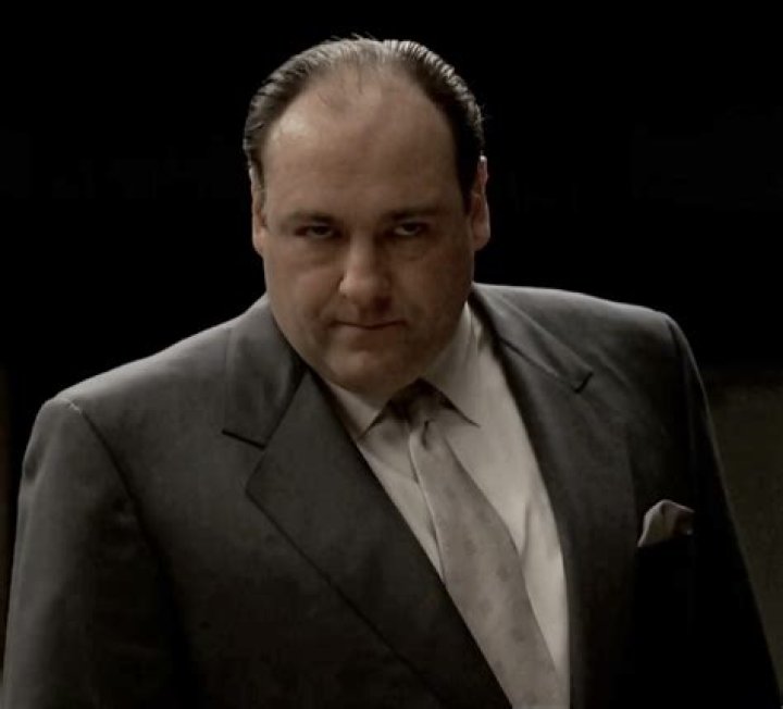 From The Shadows Of Tony Soprano To His Own Star