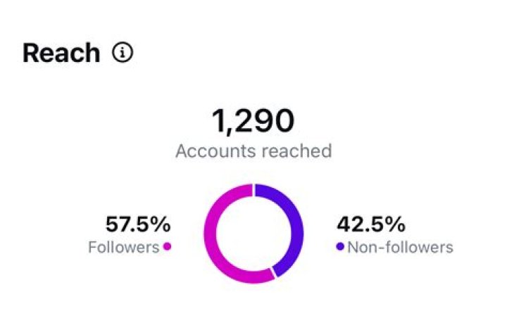 Gain Followers And Amplify Your Reach