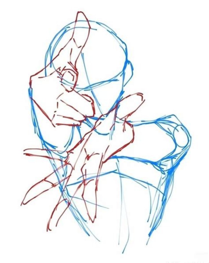 How Much Does the Pose Star Make? |