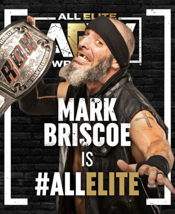 Mark Briscoe's Wife And Wrestling Icon