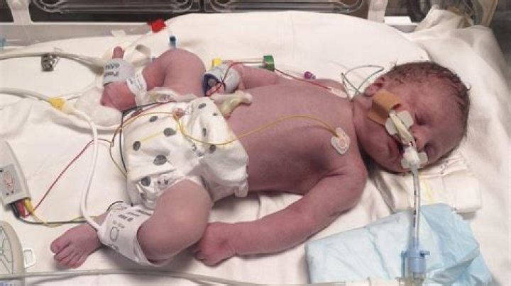New Mexico Mother Baby Autopsy Photos, Trail of Video |