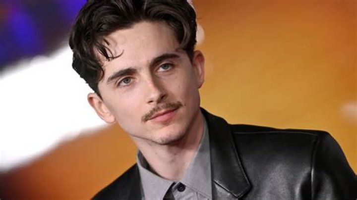 The Father of Hollywood’s Heartthrob Timothée Chalamet |
