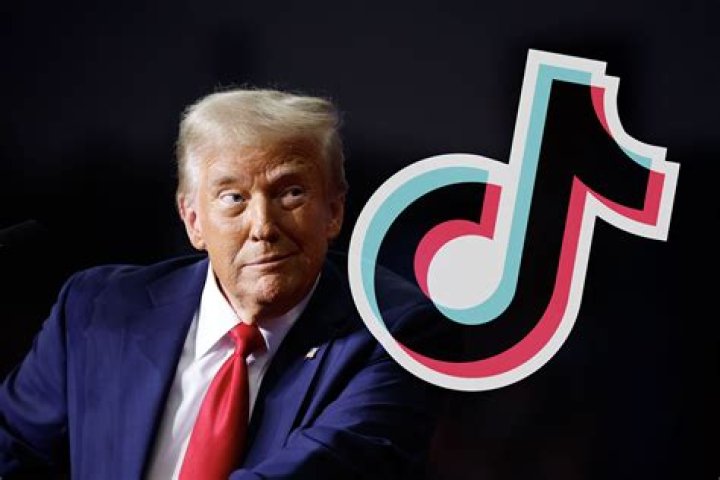 The Ultimate TikTok Star Wiki For Exclusive Insights