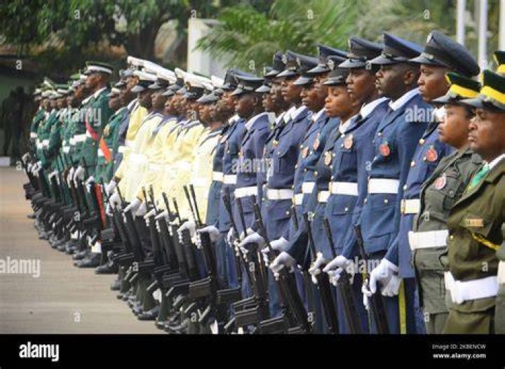 Uncover The Ranks And Hierarchy Of The Nigerian Military