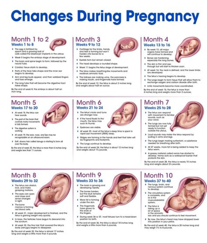 Unveiling Body Positivity: Milana Vayntrub's Pregnancy Journey