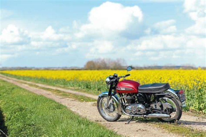 Unveiling The Enigmatic Edward Norton Atlas Norton: Discoveries And Insights
