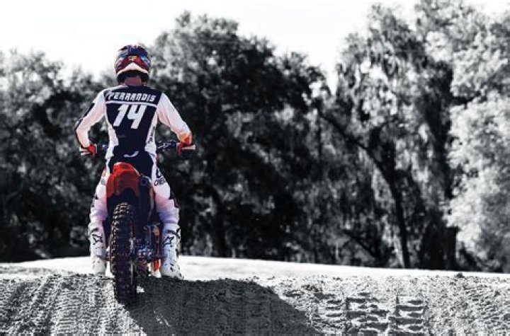 Unveiling The Legacy Of Jorge Ferrandis: A Journey Of Discovery