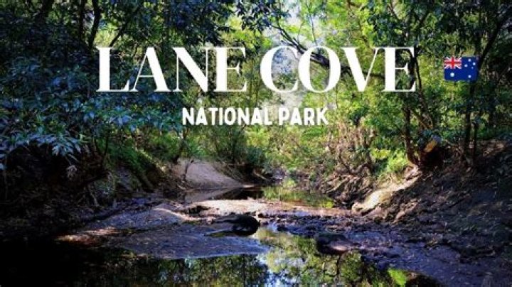 Unveiling The Sydney Lane Cove Tunnel Accident: Discoveries And Insights
