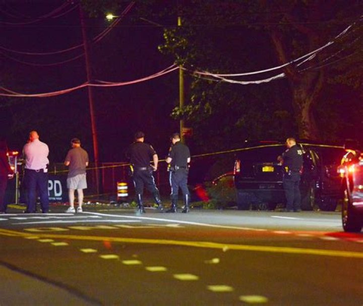 Unveiling The Tragic Fate Of Fernanda Gil In The Staten Island Crash