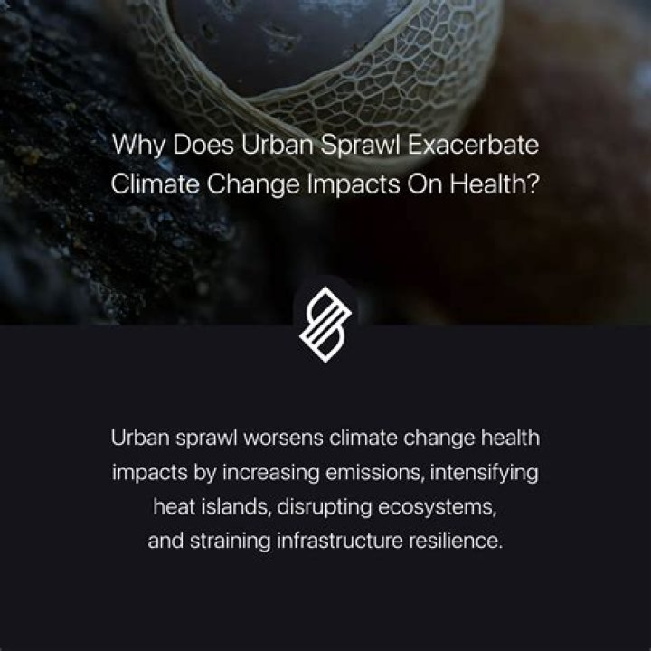 Updates, Impacts, And Expert Insights